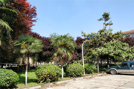 西苑小区3室2厅1卫126㎡带车库